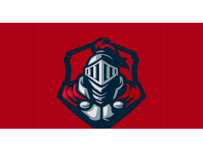 Knight Logo Illustration Vector